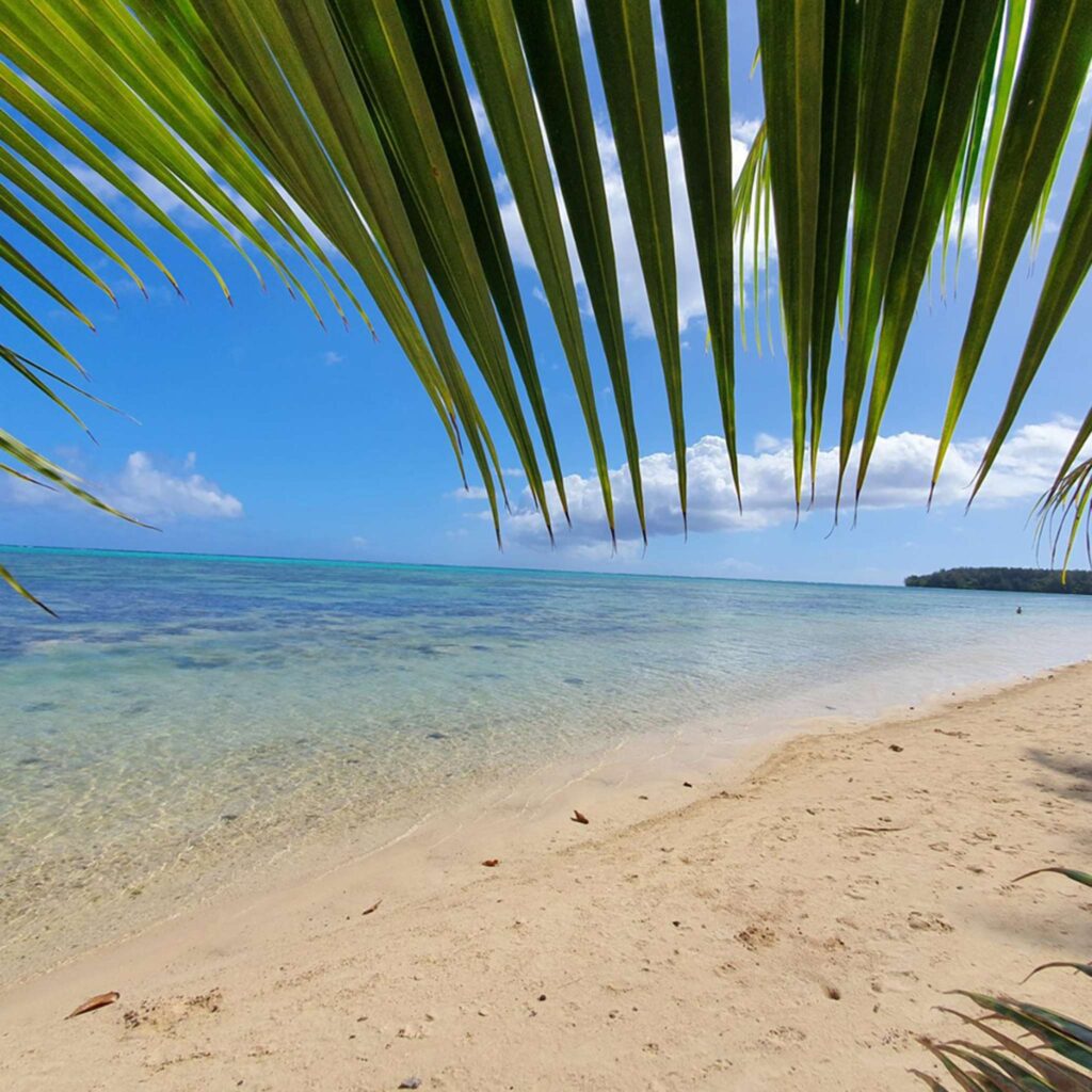lagon de moorea polynésie